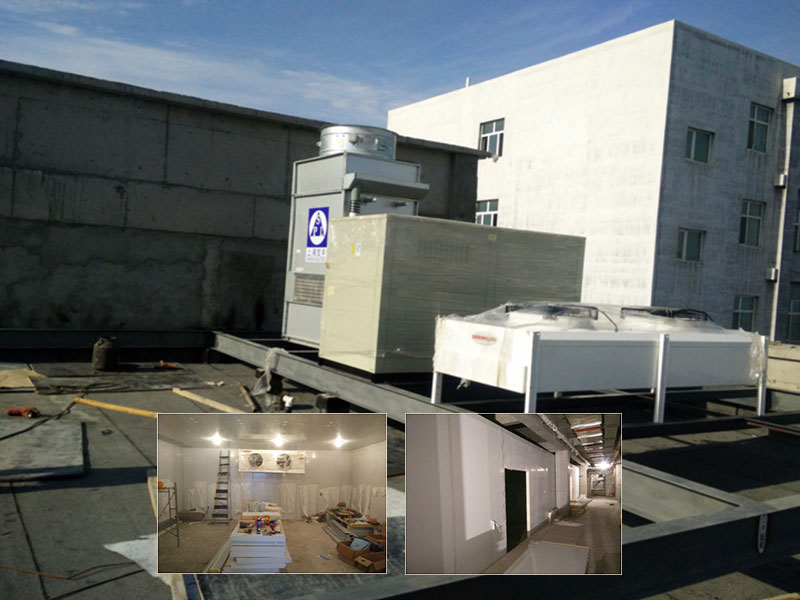 新疆干果保鮮冷庫項目